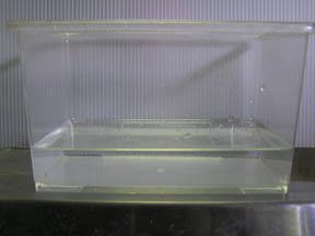 水