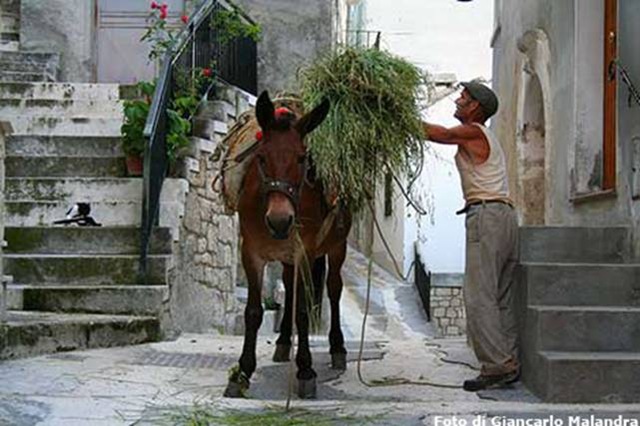 [clip_image020[4].jpg]
