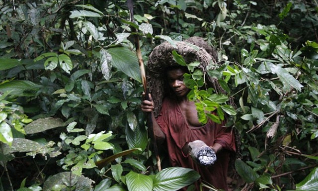 [clip_image015[4].jpg]