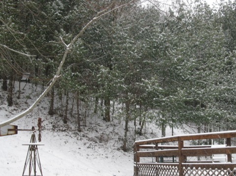 [olivias  birthday and quelf 057[4].jpg]