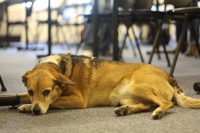 [olivia drawing  2-19-2010 0224 resized[3].jpg]