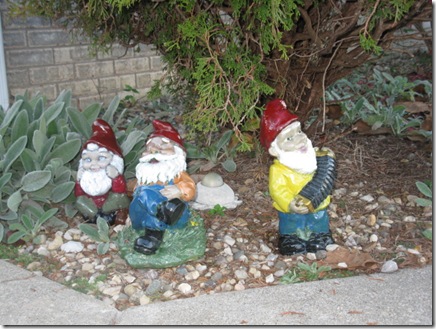 band concert gnomes 038