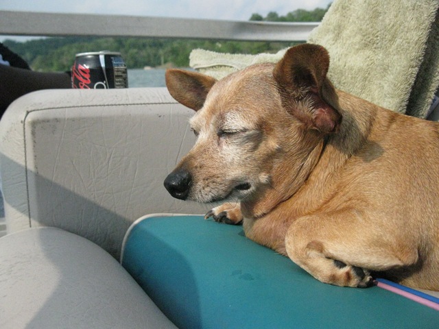 [hoiday world 0089_resize[4].jpg]