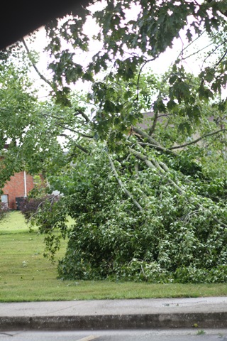 [august storm 2010 0011[5].jpg]