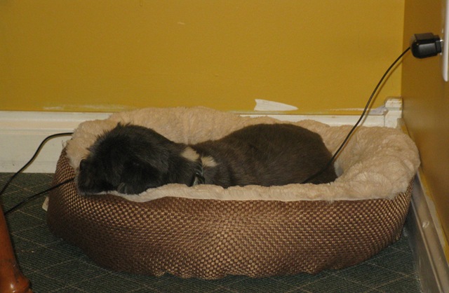 [sunday school  0032[7].jpg]