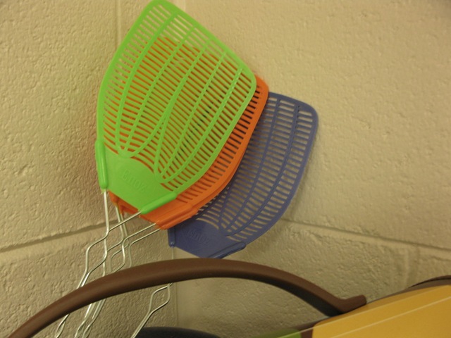 [oct 29 2010 silver camera 009_resize[4].jpg]