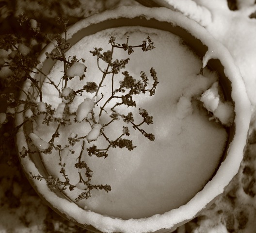 [olivias party 019_resize[5].jpg]