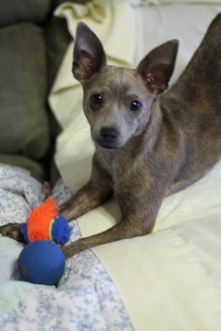 [th 024_resize[5].jpg]