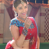 newpg-tamanna26.jpg