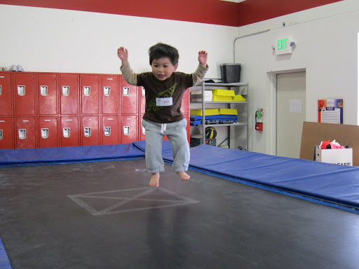 trampolines