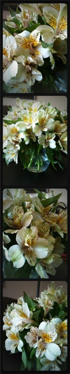 [Pocketbooth-11-04-19-12-51-17[3].jpg]
