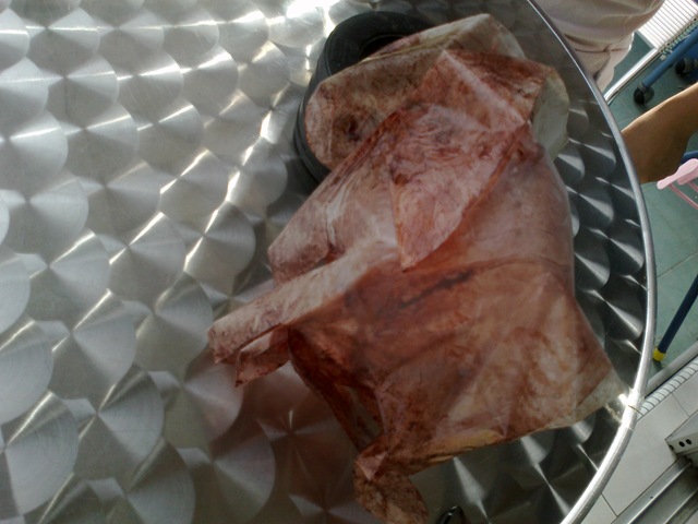 [201010111683.jpg]