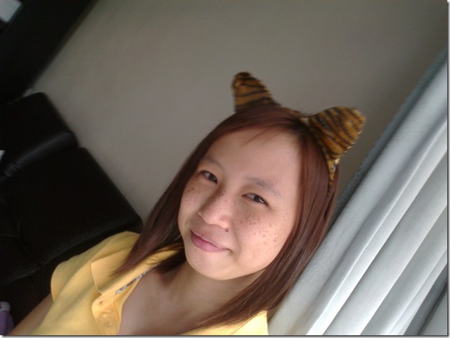 20101029345