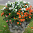 DSC05222.JPG