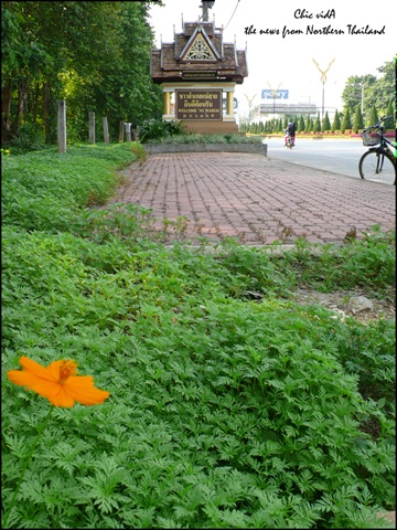 [20090509_001[3].jpg]