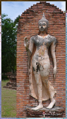 [P1230108[6].jpg]