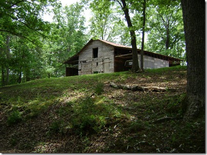 Georgia 2011 023