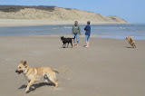 DSC00838.JPG