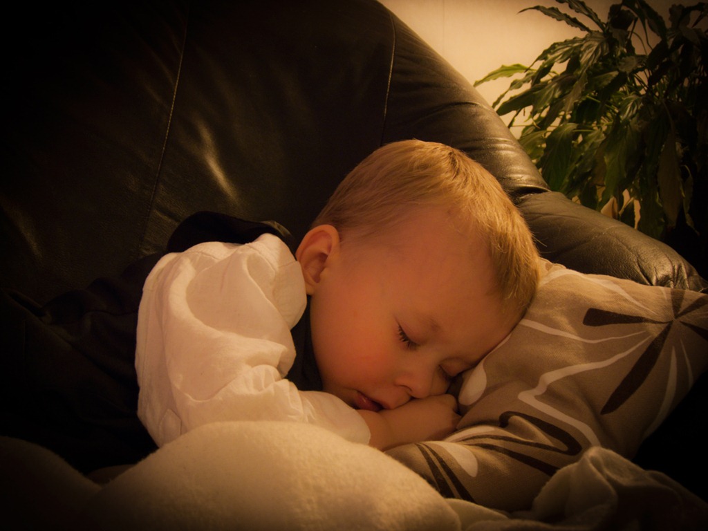 [P1060696[3].jpg]