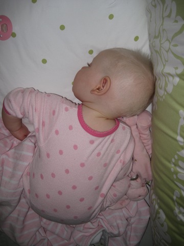 [img_10502.jpg]