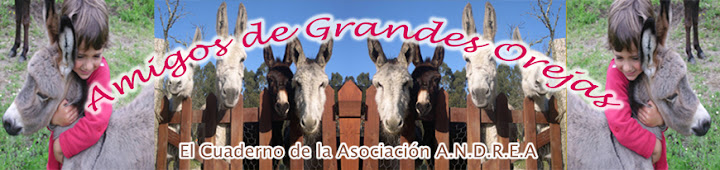 header-photo