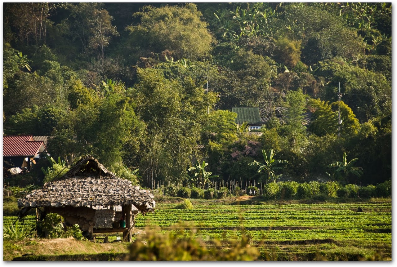 Patara Elephant Farm