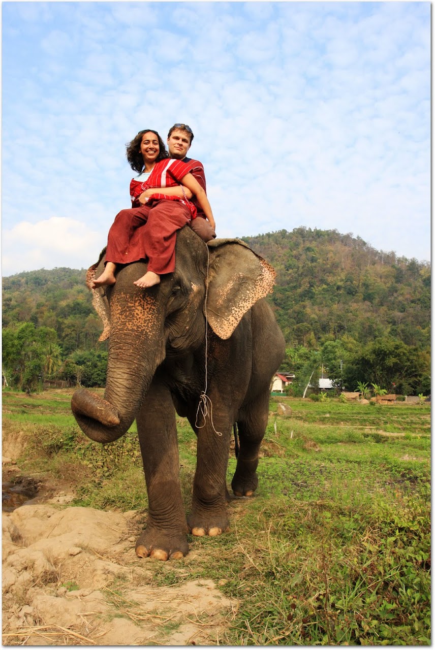 Riding elephant