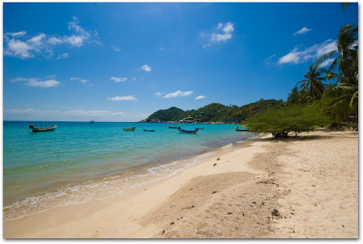 KOH の掲示板投稿写真&画像