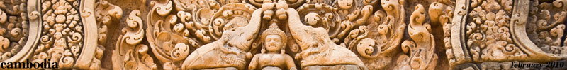 Banner Banner