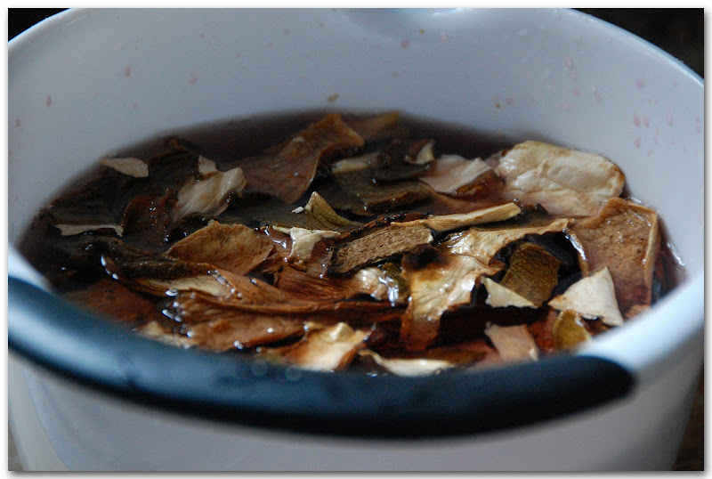 Porcini mushrooms soaked in wine
