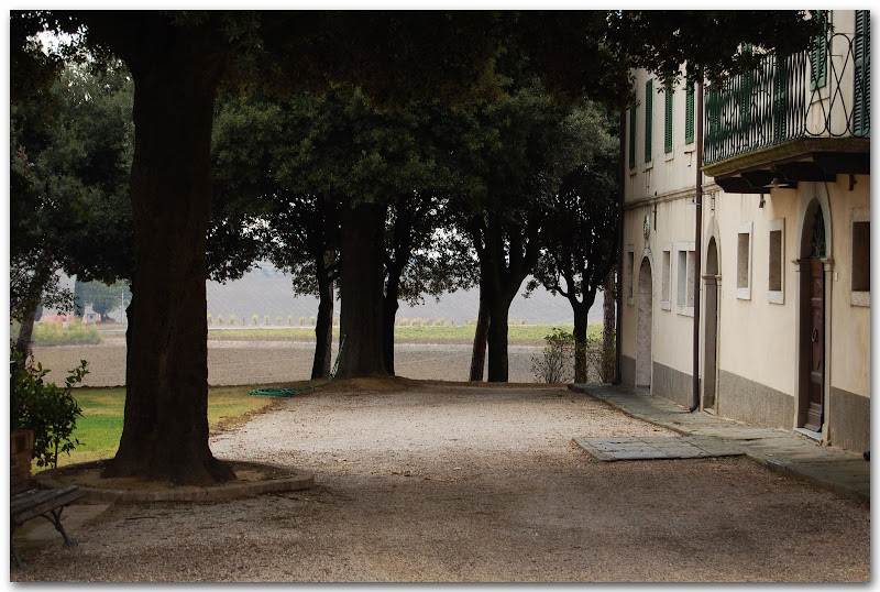 The Avignonesi winery