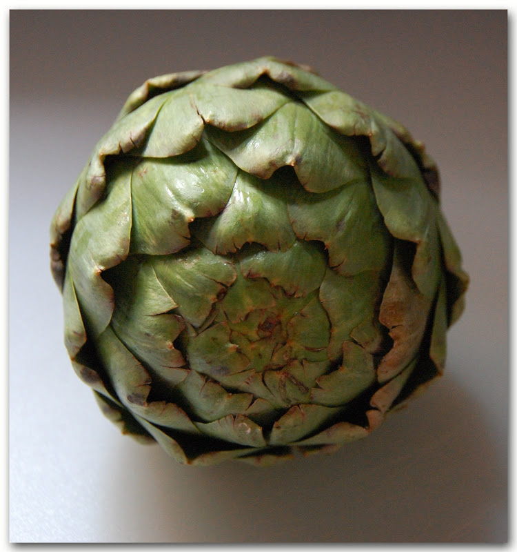 Globe artichoke