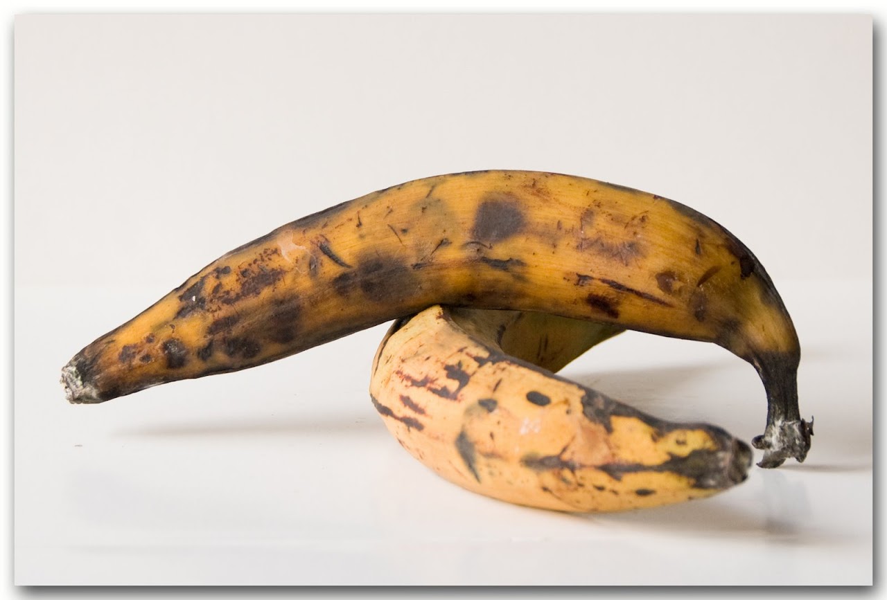 Oven Baked Amarillos The Road Forks Travel And Food Blog