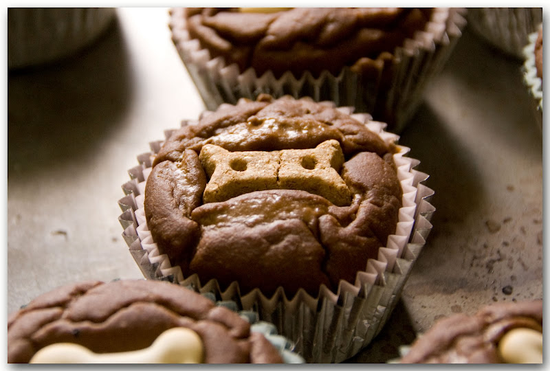Pressed dogbone into pupcakes
