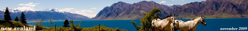 Banner Banner