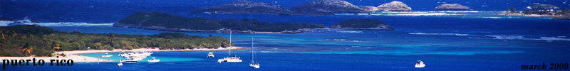 Banner Banner