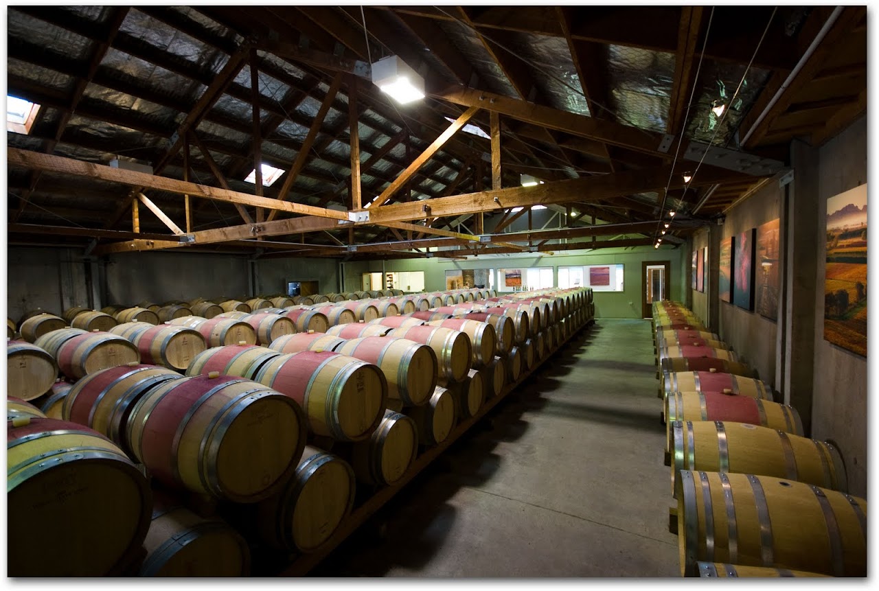 Cloudy Bay wine cellar