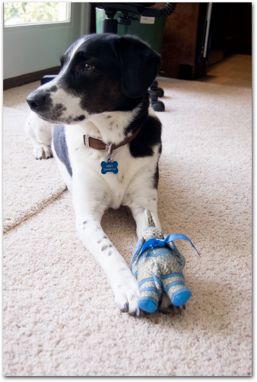 Abby with elephant toy