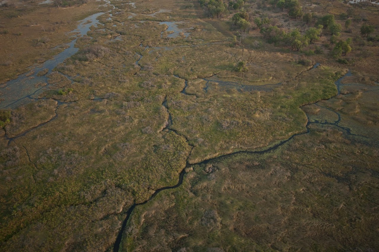Okavango Delta