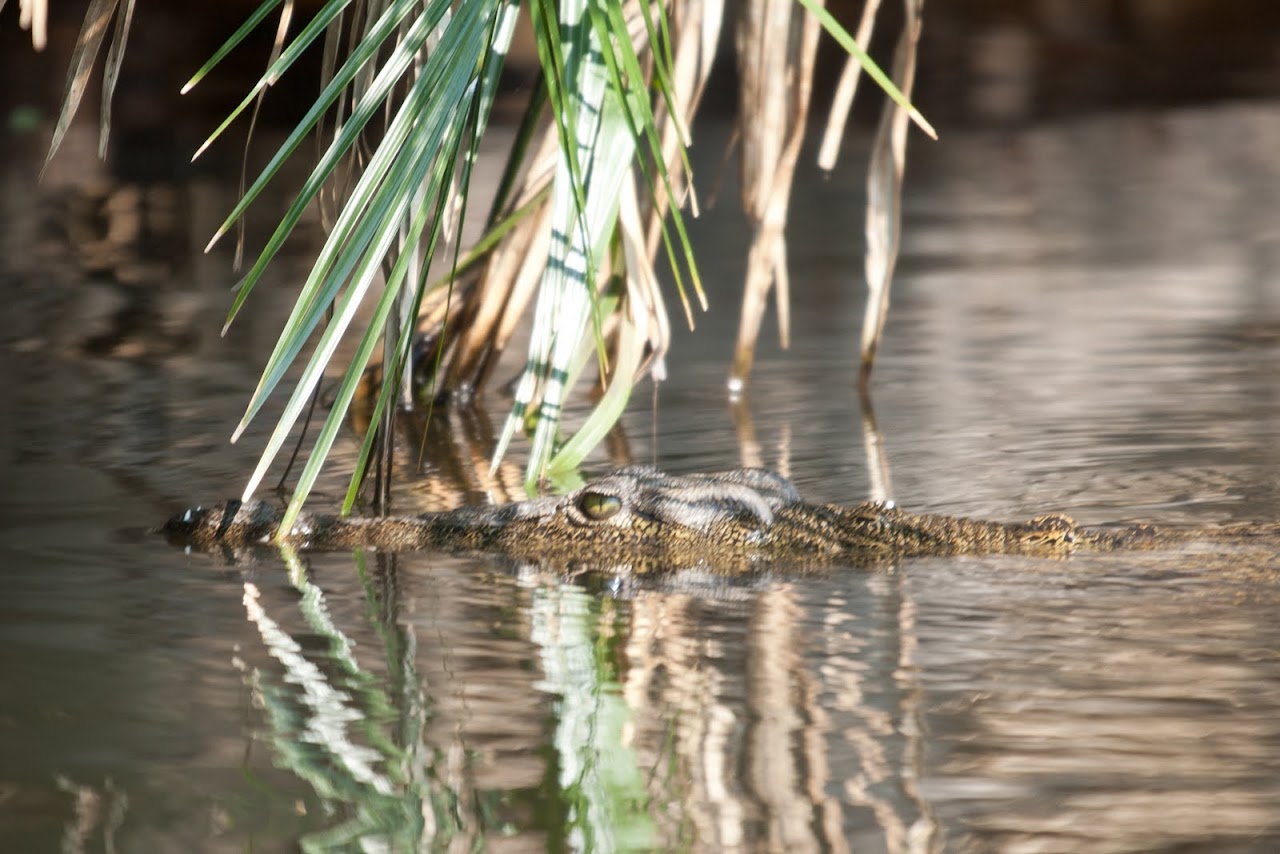 Really Into The Wild The Road Forks Travel And Food Blog