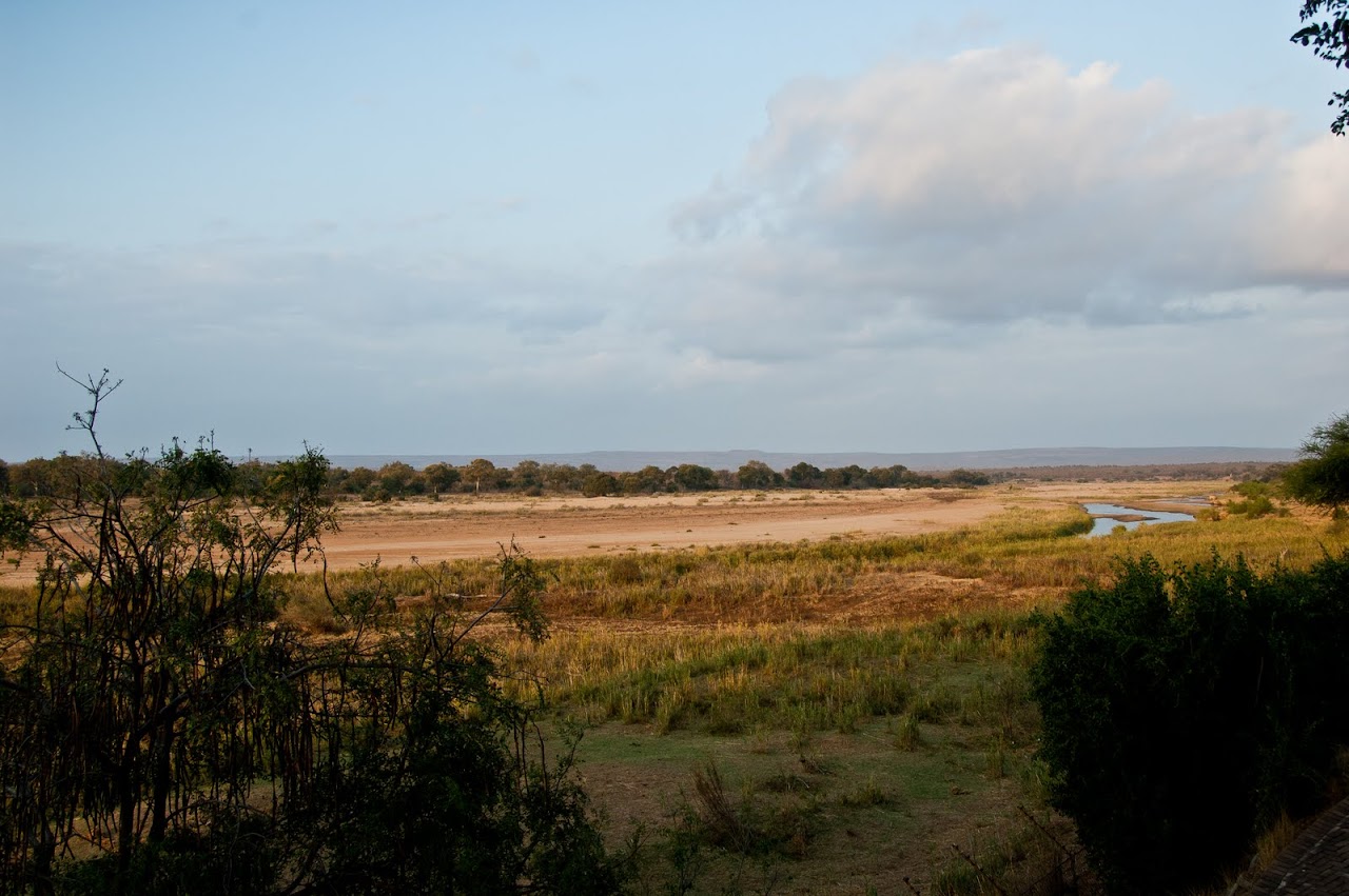 View of Letaba's watering hole