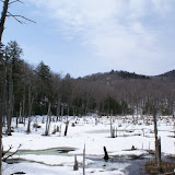 DSC05501.JPG