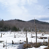 DSC05502.JPG