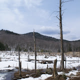DSC05503.JPG