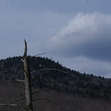 DSC05505.JPG