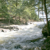 DSC05584.JPG