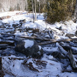 DSC05398.JPG