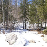 DSC05470.JPG