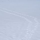 DSC05481.JPG