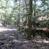 Small pond about half way up, it drys up by the end of fall
